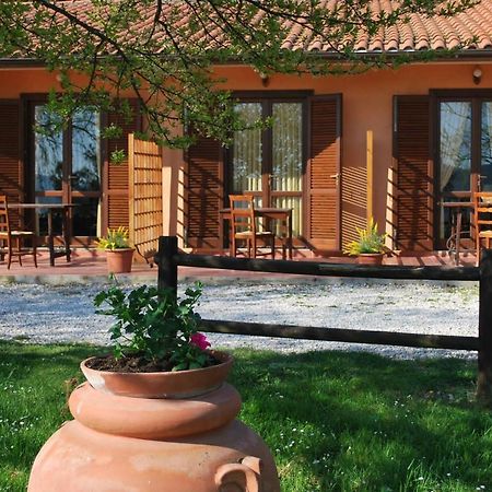 Erba Di Campo Residence Quercianella Exterior photo